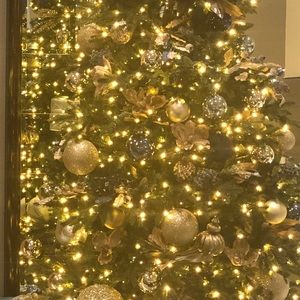 Meet your Posher, Ava